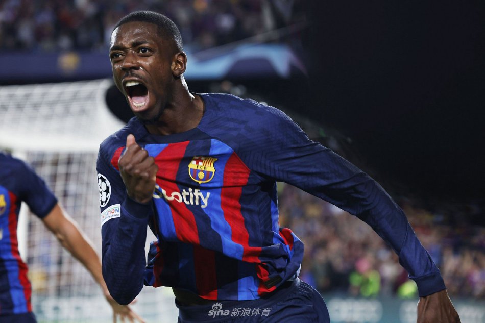 迷的检验 迷的检验